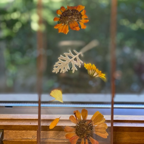 Floating into Fall~ Botanical Art - Picture 2 of 5